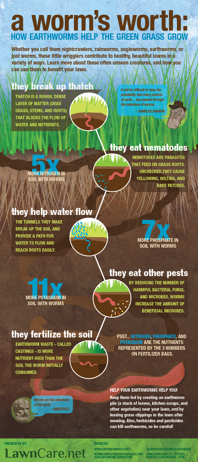 A Worm's Worth Infographic